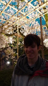 京都外大時代④「平安神宮の夜桜」